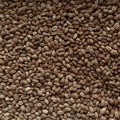 FACIAL OIL 100% SEMILLA DE PAPAYA (30ml)